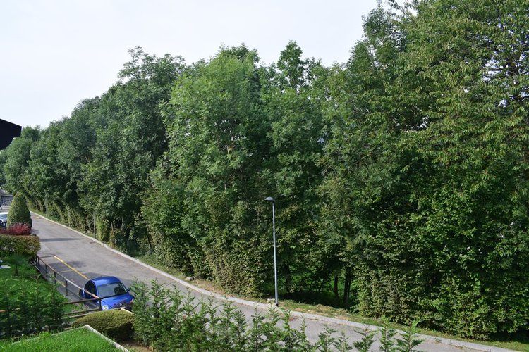 Serina a pochi passi dal centro elegante trilocale con balconate e giardino Serina