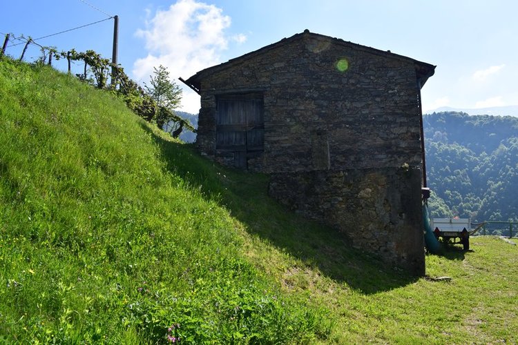 Oltre il Colle, imperdibile rustico indipendente con vasto terreno di proprietà Oltre il Colle