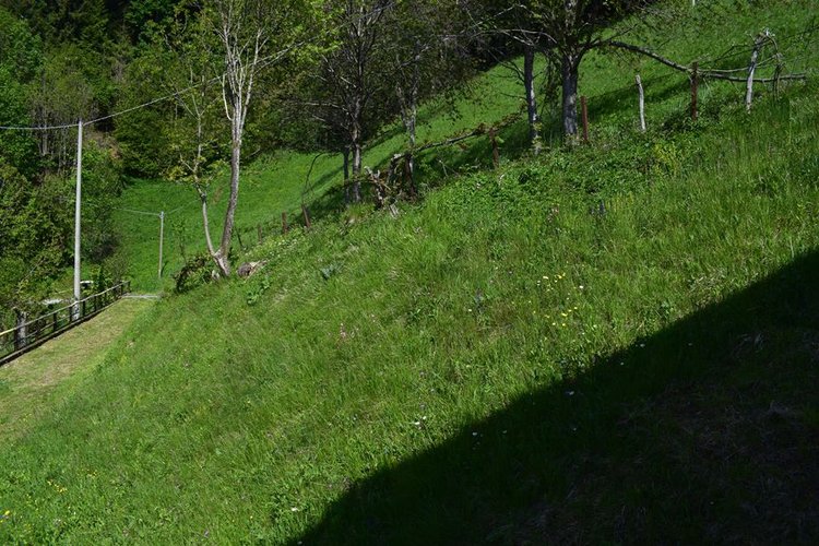 Oltre il Colle, imperdibile rustico indipendente con vasto terreno di proprietà Oltre il Colle