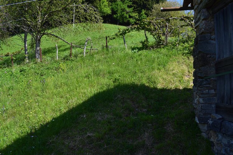 Oltre il Colle, imperdibile rustico indipendente con vasto terreno di proprietà Oltre il Colle