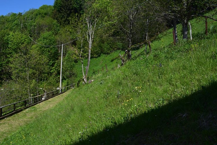 Oltre il Colle, imperdibile rustico indipendente con vasto terreno di proprietà Oltre il Colle