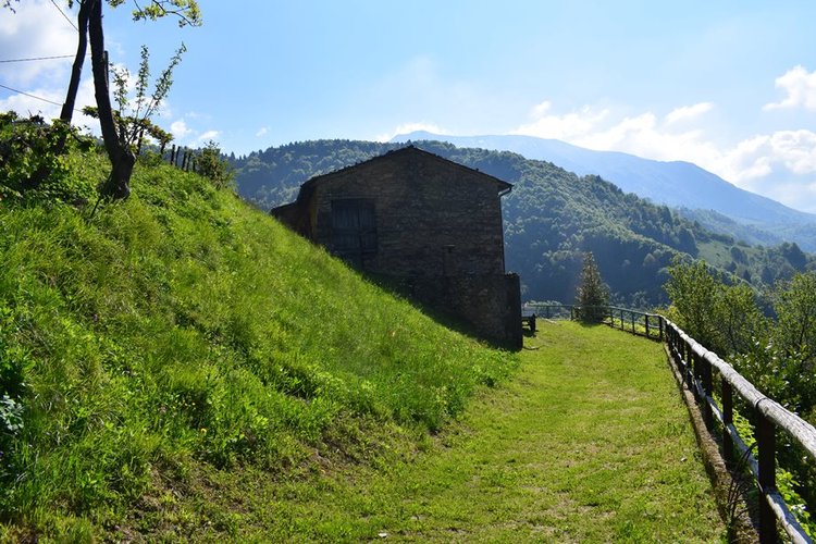 Oltre il Colle, imperdibile rustico indipendente con vasto terreno di proprietà Oltre il Colle