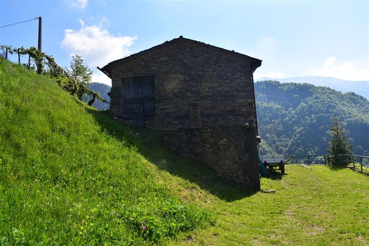 Oltre il Colle, immerso nel verde, porzione di rustico servito da tutto Oltre il Colle