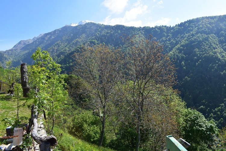 Oltre il Colle, imperdibile rustico indipendente con vasto terreno di proprietà Oltre il Colle