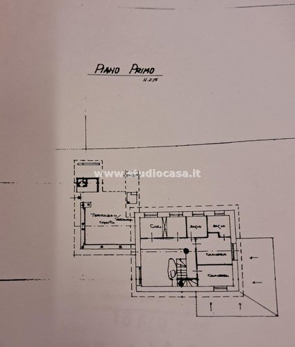 IMMERSO NEL VERDE! Serina