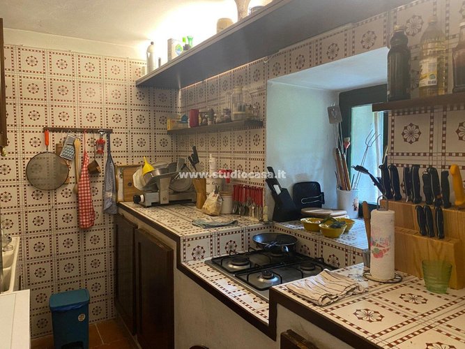 IMMERSO NEL VERDE! Serina