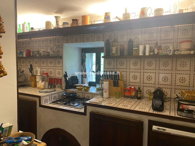 IMMERSO NEL VERDE! Serina