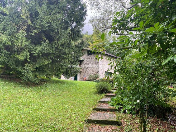 IMMERSO NEL VERDE! Serina