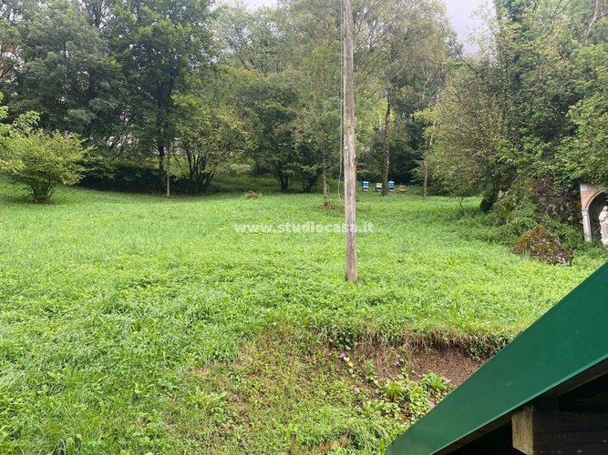 IMMERSO NEL VERDE! Serina