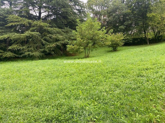 IMMERSO NEL VERDE! Serina