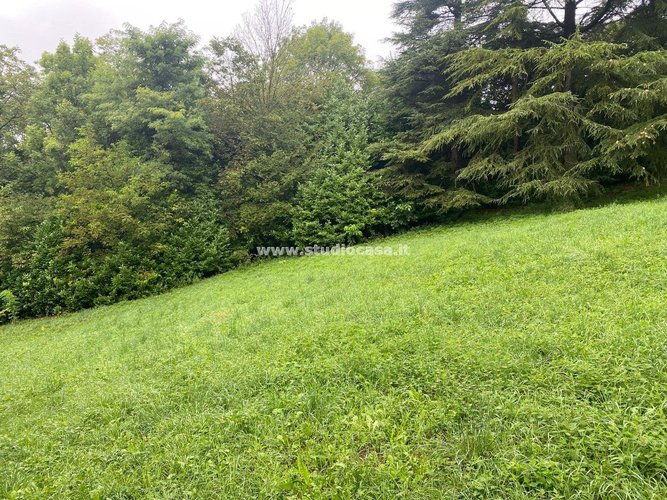 IMMERSO NEL VERDE! Serina