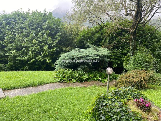 IMMERSO NEL VERDE! Serina