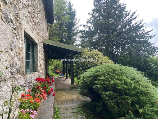 IMMERSO NEL VERDE! Serina