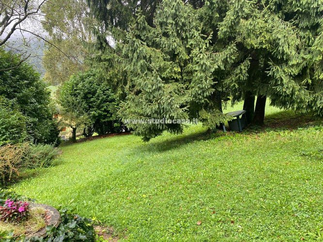 IMMERSO NEL VERDE! Serina