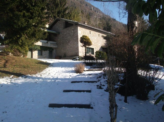 IMMERSO NEL VERDE! Serina