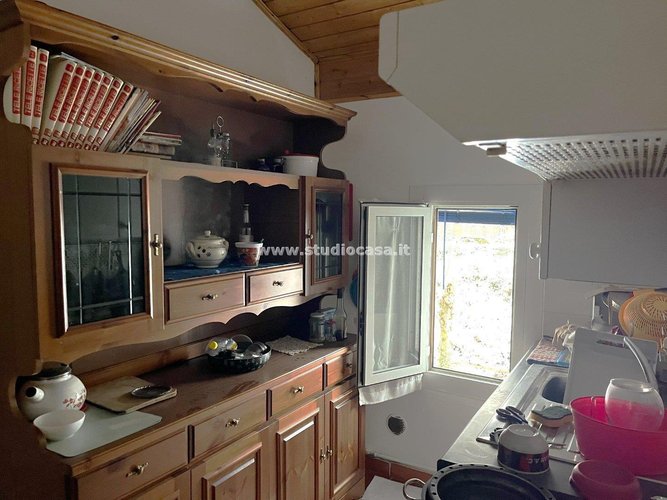 IMMERSO NEL VERDE! Cornalba