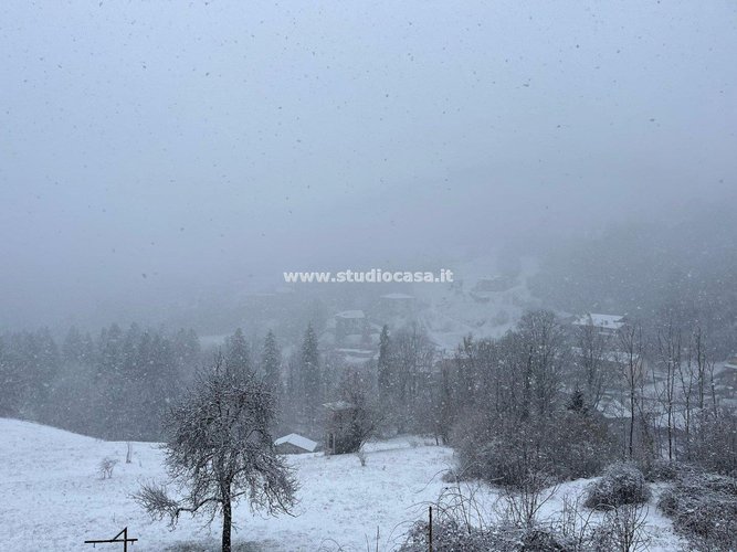 IMMERSO NEL VERDE! Cornalba