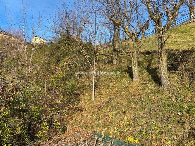 GUARDA CHE VISTA! Dossena