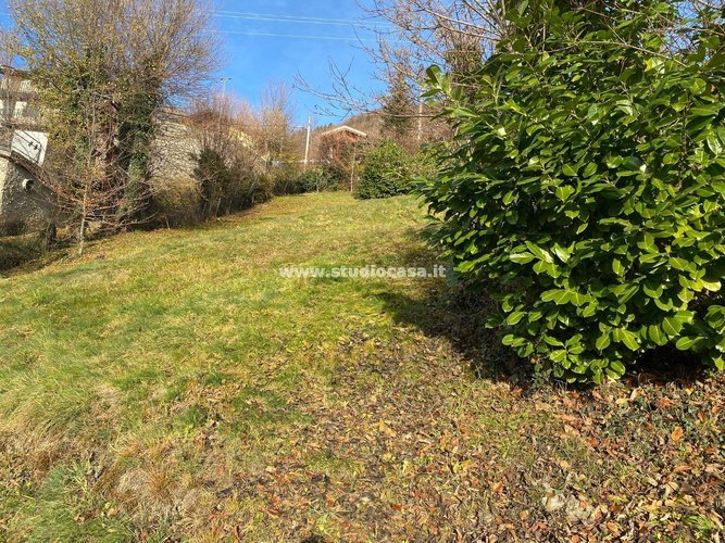 GUARDA CHE VISTA! Dossena