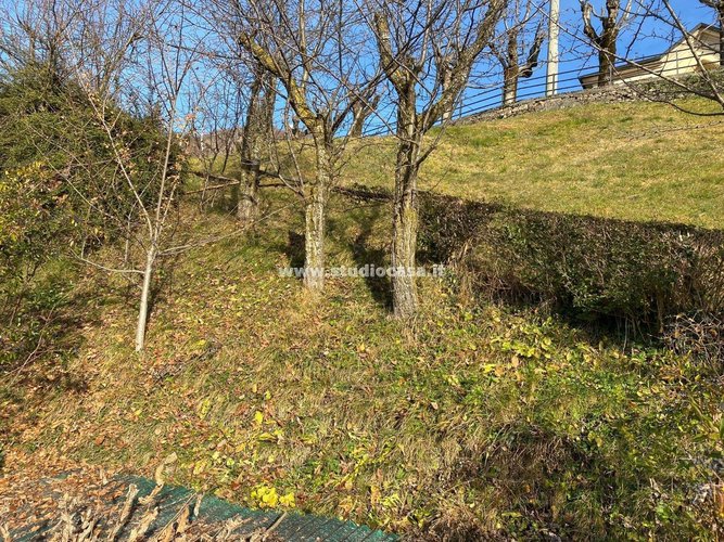 GUARDA CHE VISTA! Dossena