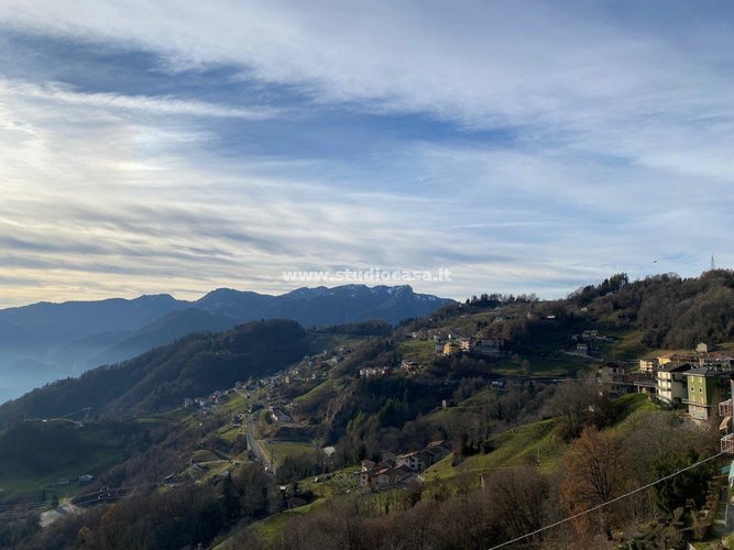 GUARDA CHE VISTA! Dossena