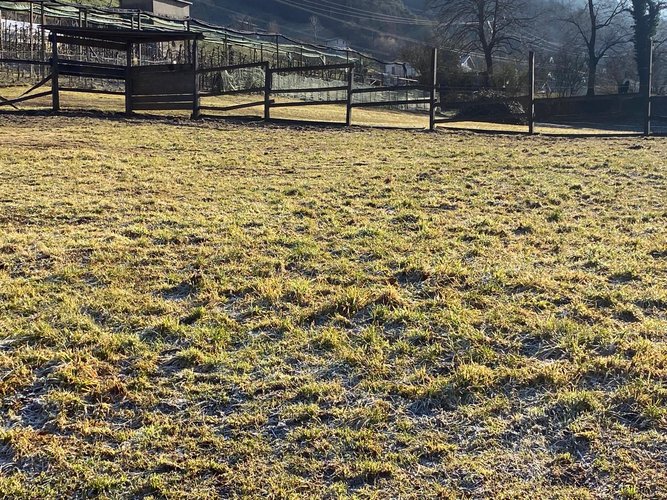 VISTA PANORAMICA! Olmo al Brembo