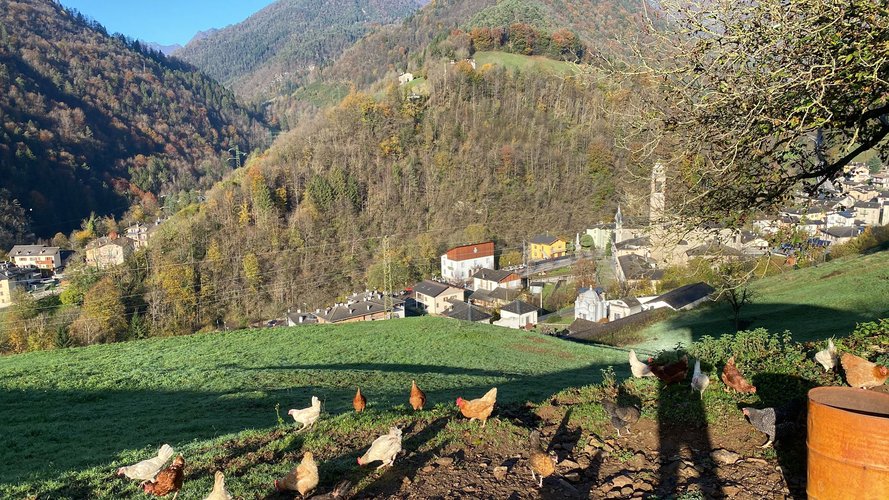 VISTA PANORAMICA! Olmo al Brembo