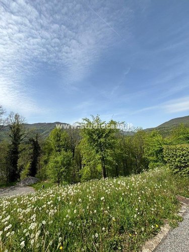 VISTA PANORAMICA! Taleggio