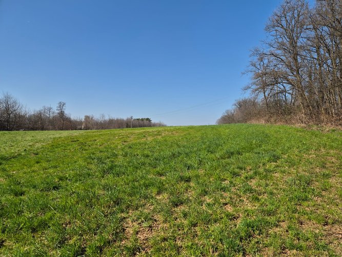 Semi-centrale -8/25 Mariano Comense