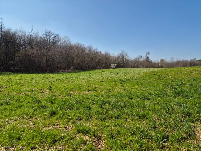 Semi-centrale -8/25 Mariano Comense