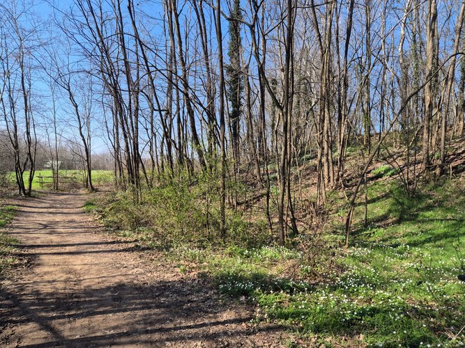 Semi-centrale -8/25 Mariano Comense