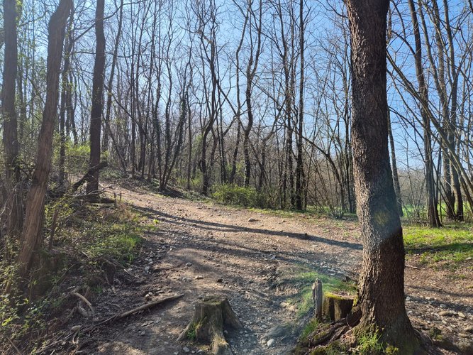 Semi-centrale -8/25 Mariano Comense