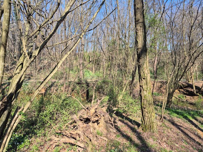 Semi-centrale -8/25 Mariano Comense