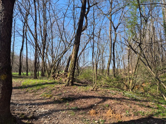 Semi-centrale -8/25 Mariano Comense