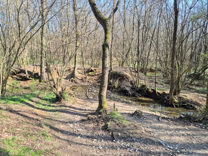 Semi-centrale -8/25 Mariano Comense