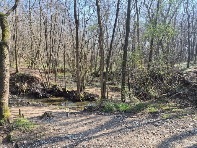 Semi-centrale -8/25 Mariano Comense