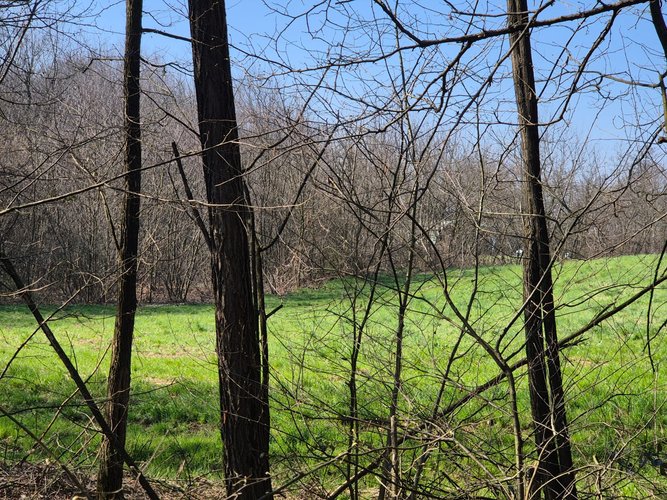 Semi-centrale -8/25 Mariano Comense