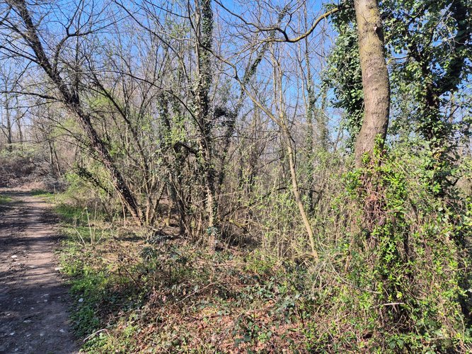 Semi-centrale -8/25 Mariano Comense