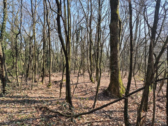 Semi-centrale -8/25 Mariano Comense