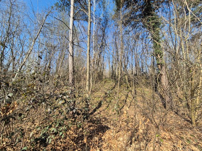 Semi-centrale -8/25 Mariano Comense