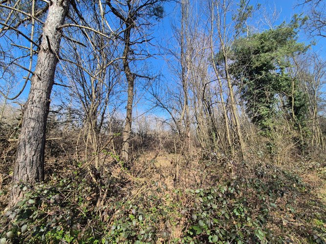 Semi-centrale -8/25 Mariano Comense