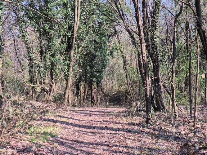 Semi-centrale -8/25 Mariano Comense