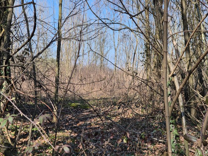 Semi-centrale -8/25 Mariano Comense