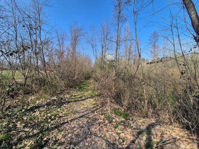 Semi-centrale -8/25 Mariano Comense