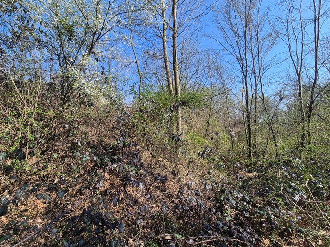 Semi-centrale -8/25 Mariano Comense