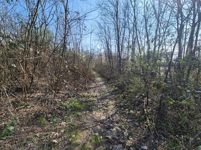 Semi-centrale -8/25 Mariano Comense