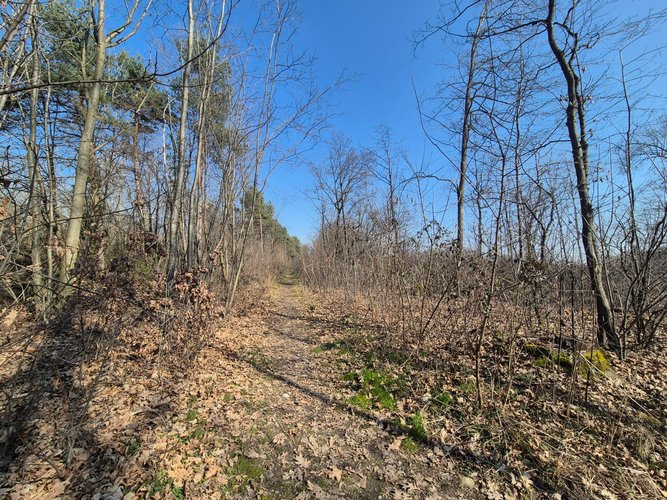 Semi-centrale -8/25 Mariano Comense