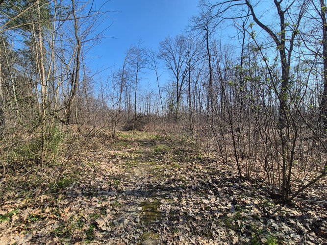 Semi-centrale -8/25 Mariano Comense