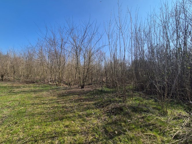 Semi-centrale -8/25 Mariano Comense