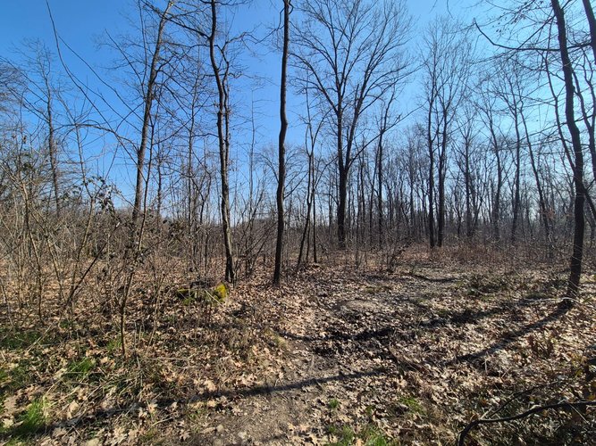 Semi-centrale -8/25 Mariano Comense